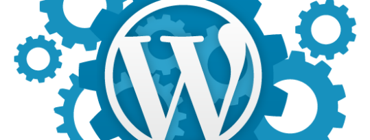 WordPress – Quali sono i Cookie Tecnici?